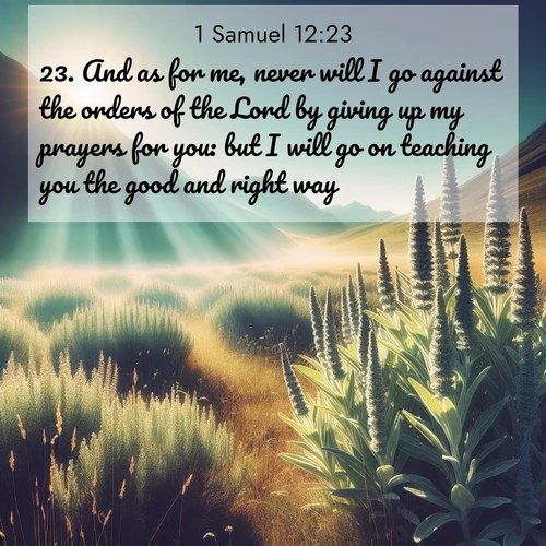 BasicEnglish 1 Samuel  ; image nature: image with the bible verse :And as for me, never will I go against the orders of the Lord by giving up my prayers for you: but I will go on teaching you the good and right way. ; Discover a gallery of Bible verse images showcasing the beauty of autumn, with golden leaves, red forests, and peaceful fields bathed in soft light. These soothing scenes are perfect for accompanying inspiring verses like KJV 1 Samuel 12:23. Current verse is overlayed with the thematic nature scene : Summer heat brings out the scent of sage in mountain meadows. ; 12:23