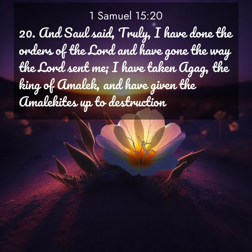 BasicEnglish 1 Samuel  ; image nature: image with the bible verse :And Saul said, Truly, I have done the orders of the Lord and have gone the way the Lord sent me; I have taken Agag, the king of Amalek, and have given the Amalekites up to destruction. ; Dive into our collection of Bible verse images combined with sublime nature photos, such as graceful waterfalls, radiant sunsets, and endless meadows. These compositions highlight the peace and harmony of God&#039;s creation with vivid colors and carefully integrated text. Download and share verses like KJV 1 Samuel 15:20. Current verse is overlayed with the thematic nature scene : Desert evening primrose opens to the setting sun. Stars emerge in the deepening purple sky. ; 15:20