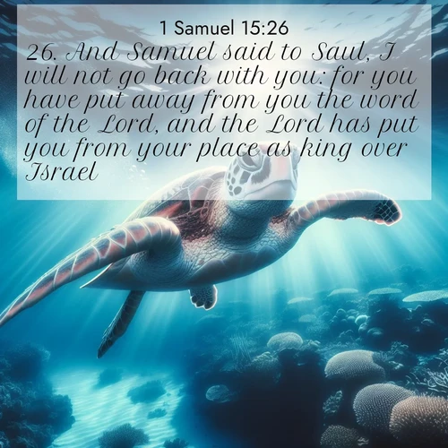 BasicEnglish 1 Samuel  ; image nature: image with the bible verse :And Samuel said to Saul, I will not go back with you: for you have put away from you the word of the Lord, and the Lord has put you from your place as king over Israel. ; Discover Bible verses beautifully integrated with natural scenes of varied seasons, featuring summer skies, winter snow, autumn leaves, and spring blooms. Each image captures the splendor and peace of God&#039;s creation. Share verses like KJV 1 Samuel 15:26. Current verse is overlayed with the thematic nature scene : A sea turtle glides through underwater sunbeams. Coral gardens glow in the depths below. ; 15:26