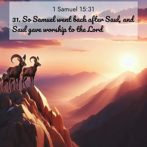 BasicEnglish 1 Samuel  ; image nature: image with the bible verse :So Samuel went back after Saul, and Saul gave worship to the Lord. ; Discover tranquil Bible verse images enhanced with natural scenery like rippling brooks, snow-covered fields, and sunlit beaches. These free images are perfect for wallpapers or spiritual reflection. Share KJV 1 Samuel 15:31. Current verse is overlayed with the thematic nature scene : Desert bighorns pause on a knife-edge ridge. Sunset paints their horns in gold. ; 15:31