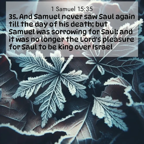 BasicEnglish 1 Samuel  ; image nature: image with the bible verse :And Samuel never saw Saul again till the day of his death; but Samuel was sorrowing for Saul: and it was no longer the Lord&#039;s pleasure for Saul to be king over Israel. ; Explore a unique collection of Bible verses illustrated by winter landscapes, such as snowy mountains, frosty forests, and starry skies. These images capture the peace and beauty of winter. Share verses like KJV 1 Samuel 15:35. Current verse is overlayed with the thematic nature scene : Winter frost creates delicate patterns on fallen leaves. ; 15:35