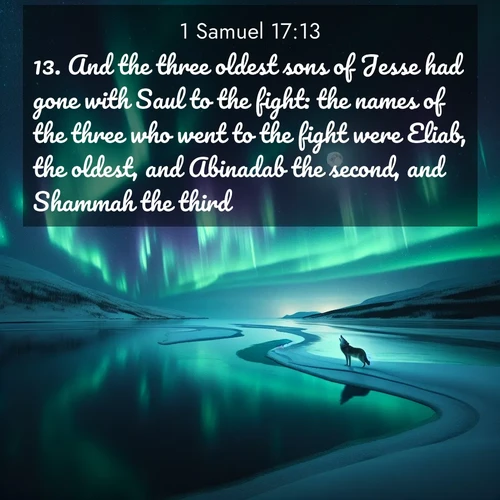 BasicEnglish 1 Samuel  ; image nature: image with the bible verse :And the three oldest sons of Jesse had gone with Saul to the fight: the names of the three who went to the fight were Eliab, the oldest, and Abinadab the second, and Shammah the third. ; Discover tranquil Bible verse images enhanced with natural scenery like rippling brooks, snow-covered fields, and sunlit beaches. These free images are perfect for wallpapers or spiritual reflection. Share KJV 1 Samuel 17:13. Current verse is overlayed with the thematic nature scene : Northern lights dance across a frozen lake in ribbons of green and purple. A lone wolf howls from the distant shore. ; 17:13