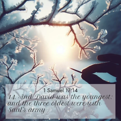 BasicEnglish 1 Samuel  ; image nature: image with the bible verse :And David was the youngest: and the three oldest were with Saul&#039;s army. ; Browse our selection of stunning Bible verse images featuring unique natural scenes like fiery autumn forests, serene meadows, and starlit skies. Download and share verses like KJV 1 Samuel 17:14 for free. Current verse is overlayed with the thematic nature scene : Winter sunrise glows through ice-coated branches. ; 17:14