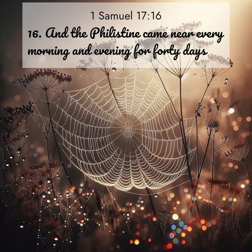 BasicEnglish 1 Samuel  ; image nature: image with the bible verse :And the Philistine came near every morning and evening for forty days. ; Discover Bible images illustrated by desert landscapes, like sand dunes, majestic rocks, and starry skies. These images symbolize the grandeur and immensity of God&#039;s creation. Download verses like KJV 1 Samuel 17:16. Current verse is overlayed with the thematic nature scene : Morning fog reveals spider galaxies. Dew drops capture rainbow light. ; 17:16