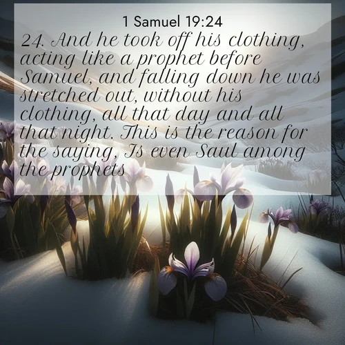 BasicEnglish 1 Samuel  ; image nature: image with the bible verse :And he took off his clothing, acting like a prophet before Samuel, and falling down he was stretched out, without his clothing, all that day and all that night. This is the reason for the saying, Is even Saul among the prophets? ; Download Bible verse images featuring vibrant photos of nature, from snowy landscapes to golden deserts. These free images are perfect for phone wallpapers, desktop backgrounds, or sharing. Verses include KJV 1 Samuel 19:24. Current verse is overlayed with the thematic nature scene : Wild irises pierce winter&#039;s last snow. Alpine light sets their petals ablaze. ; 19:24