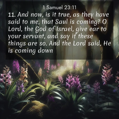 BasicEnglish 1 Samuel  ; image nature: image with the bible verse :And now, is it true, as they have said to me, that Saul is coming? O Lord, the God of Israel, give ear to your servant, and say if these things are so. And the Lord said, He is coming down. ; Discover Bible images adorned with spring landscapes, like tulip fields, cherry blossoms, and green hills. These bright scenes symbolize God&#039;s renewal and grace. Download verses like KJV 1 Samuel 23:11. Current verse is overlayed with the thematic nature scene : Wild orchids bloom in forest shade. Filtered light reveals their grace. ; 23:11