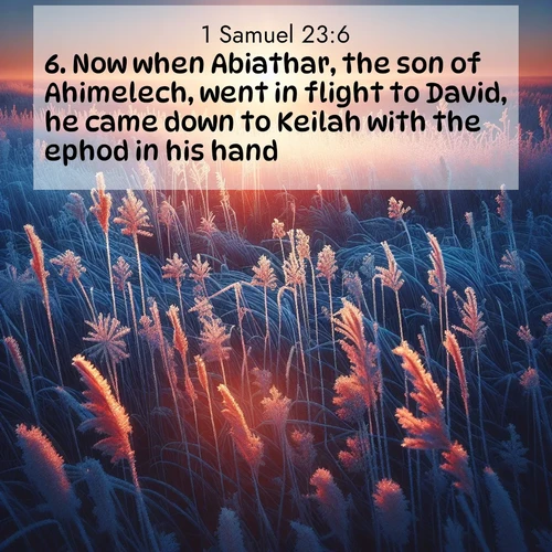 BasicEnglish 1 Samuel  ; image nature: image with the bible verse :Now when Abiathar, the son of Ahimelech, went in flight to David, he came down to Keilah with the ephod in his hand. ; Dive into our collection of Bible verses paired with breathtaking desert landscapes, featuring infinite dunes, shaded oases, and desert sunsets. These images highlight the majestic grandeur of God&#039;s creation. Download and share verses like KJV 1 Samuel 23:6. Current verse is overlayed with the thematic nature scene : Winter sunrise illuminates frost-covered prairie grass. ; 23:6