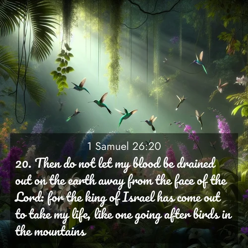 BasicEnglish 1 Samuel  ; image nature: image with the bible verse :Then do not let my blood be drained out on the earth away from the face of the Lord: for the king of Israel has come out to take my life, like one going after birds in the mountains. ; Explore a rich collection of Bible verse images beautifully illustrated by natural landscapes, such as colorful skies, towering mountains, and tranquil rivers. The images highlight the serenity of God&#039;s creation with vivid tones and carefully chosen typography. Download and share inspiring verses like KJV 1 Samuel 26:20. Current verse is overlayed with the thematic nature scene : Wild orchids bloom in a rainforest canopy. Hummingbirds dart between the delicate flowers. ; 26:20