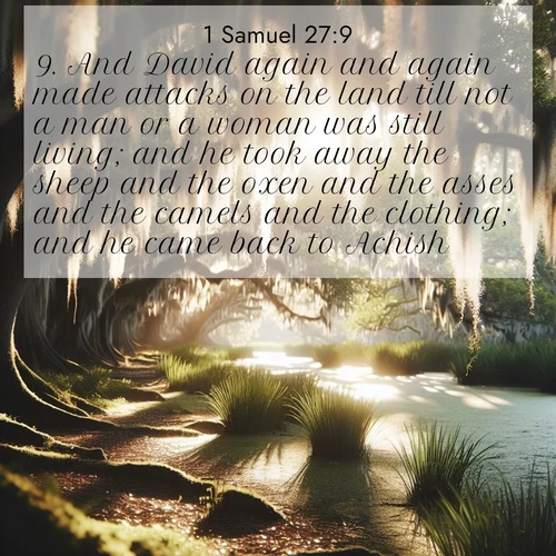 BasicEnglish 1 Samuel  ; image nature: image with the bible verse :And David again and again made attacks on the land till not a man or a woman was still living; and he took away the sheep and the oxen and the asses and the camels and the clothing; and he came back to Achish. ; Admire Bible verse images featuring tranquil rivers, golden fields, and starry heavens. These free-to-download images make inspiring wallpapers or thoughtful gifts. Download KJV 1 Samuel 27:9 now. Current verse is overlayed with the thematic nature scene : Summer afternoon light filters through Spanish moss in a bayou. ; 27:9