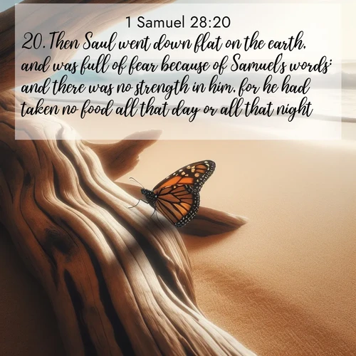 BasicEnglish 1 Samuel  ; image nature: image with the bible verse :Then Saul went down flat on the earth, and was full of fear because of Samuel&#039;s words: and there was no strength in him, for he had taken no food all that day or all that night. ; Discover Bible images adorned with spring landscapes, like tulip fields, cherry blossoms, and green hills. These bright scenes symbolize God&#039;s renewal and grace. Download verses like KJV 1 Samuel 28:20. Current verse is overlayed with the thematic nature scene : A single monarch butterfly alights on a sun-bleached driftwood log. Waves crash endlessly on the empty beach beyond. ; 28:20