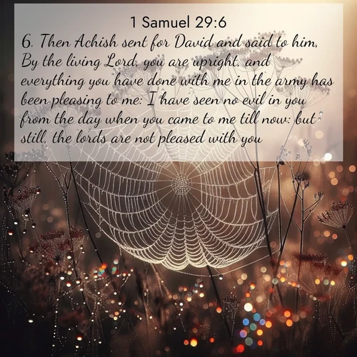 BBE 1 Samuel 29:6 overlaying nature image scene: Morning fog reveals spider galaxies. Dew drops capture rainbow light.;6. Then Achish sent for David and said to him, By the living Lord, you are upright, and everything you have done with me in the army has been pleasing to me: I have seen no evil in you from the day when you came to me till now: but still, the lords are not pleased with you.