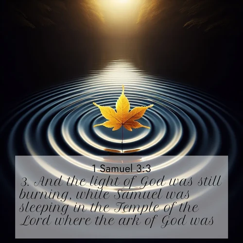 BasicEnglish 1 Samuel  ; image nature: image with the bible verse :And the light of God was still burning, while Samuel was sleeping in the Temple of the Lord where the ark of God was, ; Explore a spring collection of Bible images, with landscapes of green hills, wildflowers, and crystal-clear streams. These images symbolize the blossoming of God&#039;s creation. Download verses like KJV 1 Samuel 3:3. Current verse is overlayed with the thematic nature scene : A single maple leaf floats on black water. Concentric ripples spread outward into infinity. ; 3:3