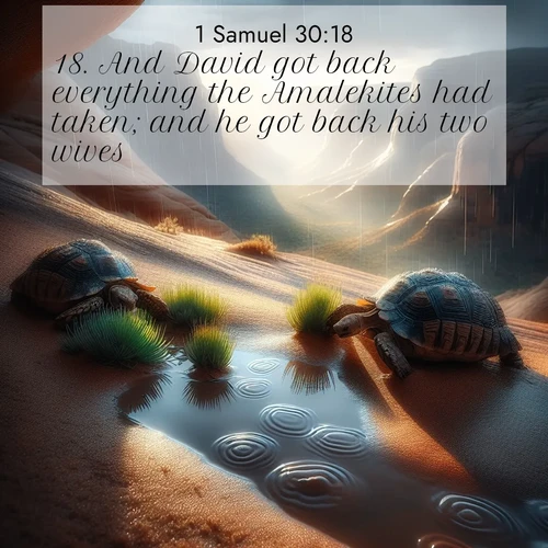 BasicEnglish 1 Samuel  ; image nature: image with the bible verse :And David got back everything the Amalekites had taken; and he got back his two wives. ; Admire Bible images representing autumn, with swirling leaves, misty skies, and vibrant trees. These images inspire profound spiritual reflection. Download and share verses like KJV 1 Samuel 30:18. Current verse is overlayed with the thematic nature scene : Desert tortoises emerge after summer rains. Thunder echoes through hidden canyons. ; 30:18