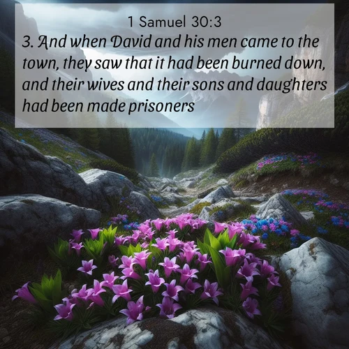BasicEnglish 1 Samuel  ; image nature: image with the bible verse :And when David and his men came to the town, they saw that it had been burned down, and their wives and their sons and daughters had been made prisoners. ; Access a vast collection of Bible verse images illustrated with natural landscapes like calm rivers, blooming fields, and bright horizons. These images emphasize the serenity and splendor of God&#039;s creation, accompanied by aesthetic fonts and joyful colors. Download verses like KJV 1 Samuel 30:3 and share them. Current verse is overlayed with the thematic nature scene : Alpine gentians bloom in rocky crevices. Summer storms gather above treeline. ; 30:3