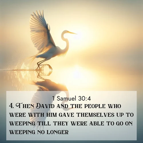 BasicEnglish 1 Samuel  ; image nature: image with the bible verse :Then David and the people who were with him gave themselves up to weeping till they were able to go on weeping no longer. ; Admire Bible verse images illustrated by desert scenes, such as sunsets over dunes, majestic rocks, and solitary cacti. These images capture the majesty of God in arid places. Download and share verses like KJV 1 Samuel 30:4. Current verse is overlayed with the thematic nature scene : A great egret lifts from mirror-still water. Sunrise sets its wings ablaze. ; 30:4