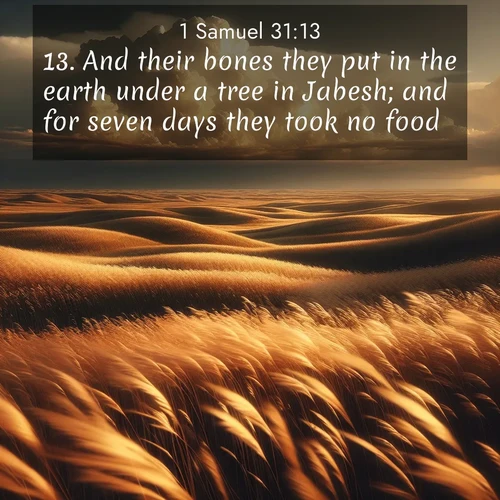 BasicEnglish 1 Samuel  ; image nature: image with the bible verse :And their bones they put in the earth under a tree in Jabesh; and for seven days they took no food. ; Discover beautiful Bible verse images that combine inspiring scripture with captivating nature photos. Download high-quality images featuring lush valleys, peaceful streams, and endless horizons like KJV 1 Samuel 31:13. Current verse is overlayed with the thematic nature scene : Prairie grass waves like a golden ocean. Storm clouds build towers on the horizon. ; 31:13