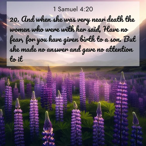 BasicEnglish 1 Samuel  ; image nature: image with the bible verse :And when she was very near death the women who were with her said, Have no fear, for you have given birth to a son. But she made no answer and gave no attention to it. ; Discover beautiful Bible verse images that combine inspiring scripture with captivating nature photos. Download high-quality images featuring lush valleys, peaceful streams, and endless horizons like KJV 1 Samuel 4:20. Current verse is overlayed with the thematic nature scene : Wild lupines paint mountain meadows purple. Snow lingers on distant peaks. ; 4:20