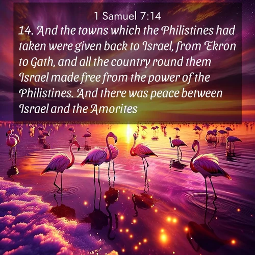 BasicEnglish 1 Samuel  ; image nature: image with the bible verse :And the towns which the Philistines had taken were given back to Israel, from Ekron to Gath, and all the country round them Israel made free from the power of the Philistines. And there was peace between Israel and the Amorites. ; Browse Bible images illustrated by desert landscapes, with endless skies, golden dunes, and isolated palm trees. These images evoke the calm and grandeur of God&#039;s creation. Download inspiring verses like KJV 1 Samuel 7:14. Current verse is overlayed with the thematic nature scene : Wild flamingos wade through salt lake shallows. Sunset turns the water to liquid gold. ; 7:14
