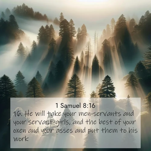 BasicEnglish 1 Samuel  ; image nature: image with the bible verse :He will take your men-servants and your servant-girls, and the best of your oxen and your asses and put them to his work. ; Explore an inspiring selection of Bible verse images adorned with nature photos, such as starry skies, verdant hills, and golden beaches. Each image reflects the peace and beauty of God&#039;s creation with vibrant colors and varied fonts. Share uplifting verses like KJV 1 Samuel 8:16. Current verse is overlayed with the thematic nature scene : Coastal redwoods disappear into fog. Filtered sunlight creates divine rays. ; 8:16