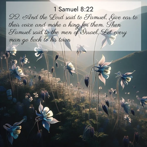 BasicEnglish 1 Samuel  ; image nature: image with the bible verse :And the Lord said to Samuel, Give ear to their voice and make a king for them. Then Samuel said to the men of Israel, Let every man go back to his town. ; Admire Bible verse images illustrated by desert scenes, such as sunsets over dunes, majestic rocks, and solitary cacti. These images capture the majesty of God in arid places. Download and share verses like KJV 1 Samuel 8:22. Current verse is overlayed with the thematic nature scene : Wild columbines dance on impossibly thin stems. Mountain breezes carry their perfume. ; 8:22