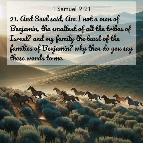BasicEnglish 1 Samuel  ; image nature: image with the bible verse :And Saul said, Am I not a man of Benjamin, the smallest of all the tribes of Israel? and my family the least of the families of Benjamin? why then do you say these words to me? ; Admire Bible verse images featuring tranquil rivers, golden fields, and starry heavens. These free-to-download images make inspiring wallpapers or thoughtful gifts. Download KJV 1 Samuel 9:21 now. Current verse is overlayed with the thematic nature scene : Wild mustangs gallop across sage-covered hills in the morning light. ; 9:21