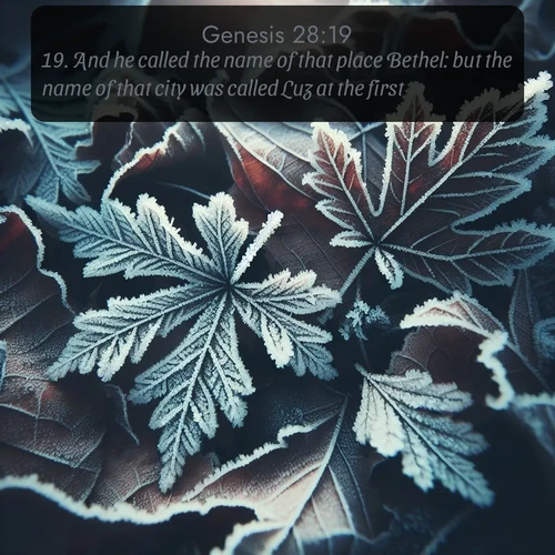 citation biblique : 19. And he called the name of that place Bethel: but the name of that city was called Luz at the first.
 sur fond image nature