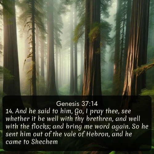 citation biblique : 14. And he said to him, Go, I pray thee, see whether it be well with thy brethren, and well with the flocks; and bring me word again. So he sent him out of the vale of Hebron, and he came to Shechem.
 sur fond image nature