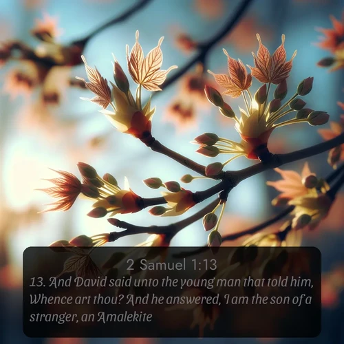 citation biblique : 13. And David said unto the young man that told him, Whence art thou? And he answered, I am the son of a stranger, an Amalekite.
 sur fond image nature