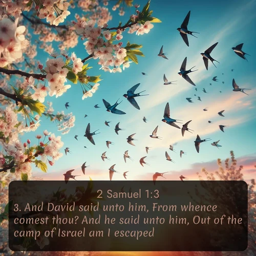 citation biblique : 3. And David said unto him, From whence comest thou? And he said unto him, Out of the camp of Israel am I escaped.
 sur fond image nature
