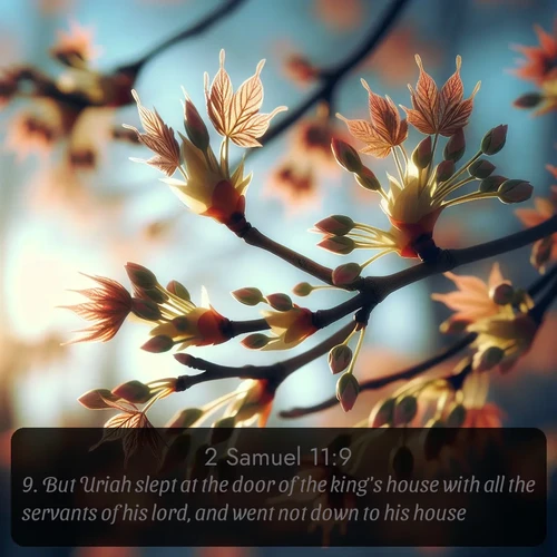 citation biblique : 9. But Uriah slept at the door of the king&#039;s house with all the servants of his lord, and went not down to his house.
 sur fond image nature