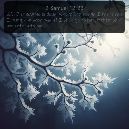 citation biblique : 23. But now he is dead, wherefore should I fast? can I bring him back again? I shall go to him, but he shall not return to me.
 sur fond image nature