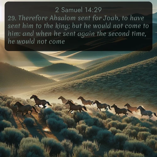 citation biblique : 29. Therefore Absalom sent for Joab, to have sent him to the king; but he would not come to him: and when he sent again the second time, he would not come.
 sur fond image nature