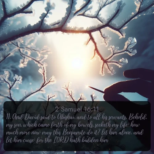 citation biblique : 11. And David said to Abishai, and to all his servants, Behold, my son, which came forth of my bowels, seeketh my life: how much more now may this Benjamite do it? let him alone, and let him curse; for the LORD hath bidden him.
 sur fond image nature