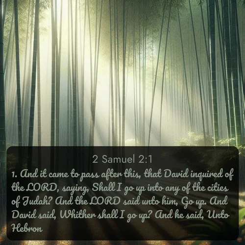 citation biblique : 1. And it came to pass after this, that David inquired of the LORD, saying, Shall I go up into any of the cities of Judah? And the LORD said unto him, Go up. And David said, Whither shall I go up? And he said, Unto Hebron.
 sur fond image nature