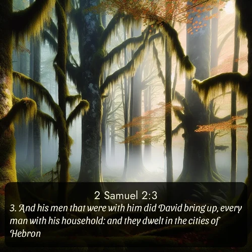 KJV 2 Samuel  ; image nature: image with the bible verse :And his men that were with him did David bring up, every man with his household: and they dwelt in the cities of Hebron. ; Explore a rich collection of Bible verse images beautifully illustrated by natural landscapes, such as colorful skies, towering mountains, and tranquil rivers. The images highlight the serenity of God&#039;s creation with vivid tones and carefully chosen typography. Download and share inspiring verses like KJV 2 Samuel 2:3. Current verse is overlayed with the thematic nature scene : Autumn fog shrouds an old-growth forest draped in moss and lichen. ; 2:3