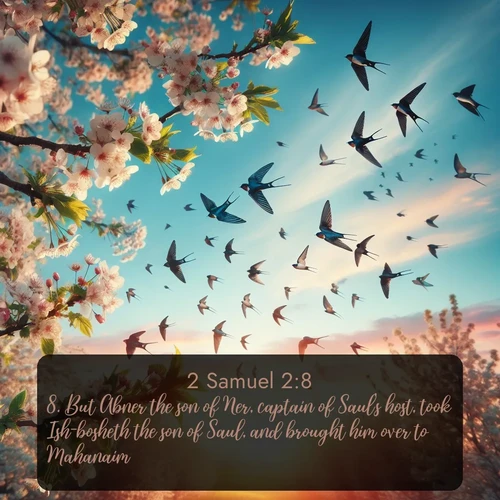 citation biblique : 8. But Abner the son of Ner, captain of Saul&#039;s host, took Ish-bosheth the son of Saul, and brought him over to Mahanaim;
 sur fond image nature