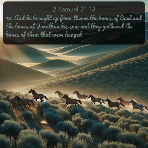 citation biblique : 13. And he brought up from thence the bones of Saul and the bones of Jonathan his son; and they gathered the bones of them that were hanged.
 sur fond image nature