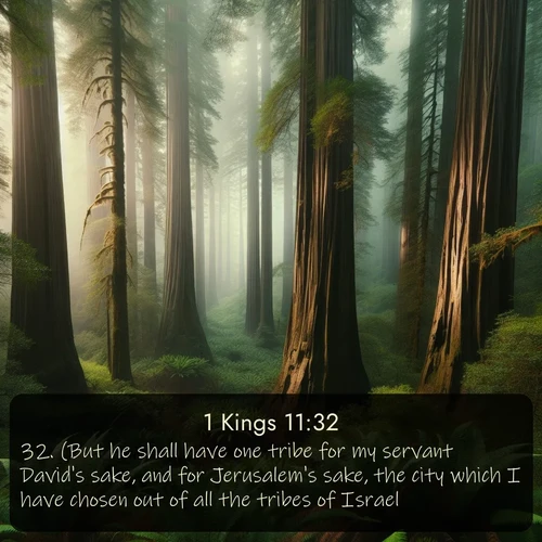 citation biblique : 32. (But he shall have one tribe for my servant David&#039;s sake, and for Jerusalem&#039;s sake, the city which I have chosen out of all the tribes of Israel:)
 sur fond image nature