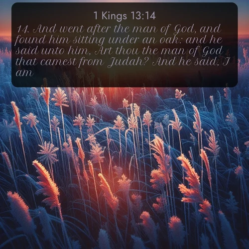 citation biblique : 14. And went after the man of God, and found him sitting under an oak: and he said unto him, Art thou the man of God that camest from Judah? And he said, I am.
 sur fond image nature