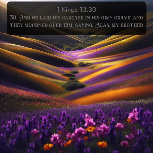 citation biblique : 30. And he laid his carcase in his own grave; and they mourned over him, saying, Alas, my brother!
 sur fond image nature