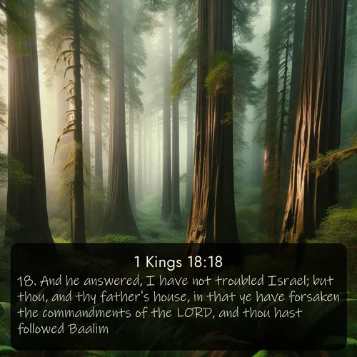 citation biblique : 18. And he answered, I have not troubled Israel; but thou, and thy father&#039;s house, in that ye have forsaken the commandments of the LORD, and thou hast followed Baalim.
 sur fond image nature