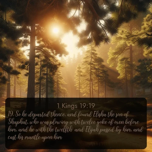 citation biblique : 19. So he departed thence, and found Elisha the son of Shaphat, who was plowing with twelve yoke of oxen before him, and he with the twelfth: and Elijah passed by him, and cast his mantle upon him.
 sur fond image nature