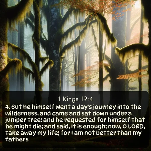 citation biblique : 4. But he himself went a day&#039;s journey into the wilderness, and came and sat down under a juniper tree: and he requested for himself that he might die; and said, It is enough; now, O LORD, take away my life; for I am not better than my fathers.
 sur fond image nature