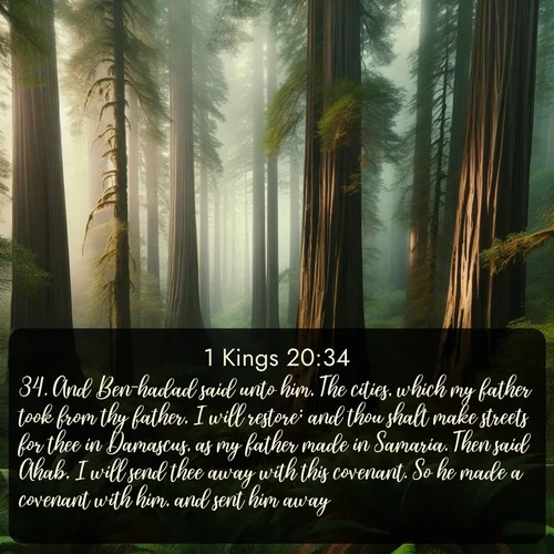 citation biblique : 34. And Ben-hadad said unto him, The cities, which my father took from thy father, I will restore; and thou shalt make streets for thee in Damascus, as my father made in Samaria. Then said Ahab, I will send thee away with this covenant. So he made a covenant with him, and sent him away.
 sur fond image nature