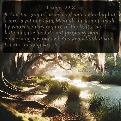 citation biblique : 8. And the king of Israel said unto Jehoshaphat, There is yet one man, Micaiah the son of Imlah, by whom we may inquire of the LORD: but I hate him; for he doth not prophesy good concerning me, but evil. And Jehoshaphat said, Let not the king say so.
 sur fond image nature