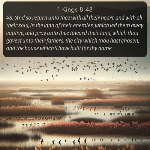 citation biblique : 48. And so return unto thee with all their heart, and with all their soul, in the land of their enemies, which led them away captive, and pray unto thee toward their land, which thou gavest unto their fathers, the city which thou hast chosen, and the house which I have built for thy name:
 sur fond image nature