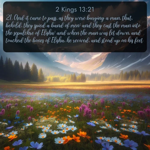 KJV 2 Kings  ; image nature: image with the bible verse :And it came to pass, as they were burying a man, that, behold, they spied a band of men; and they cast the man into the sepulchre of Elisha: and when the man was let down, and touched the bones of Elisha, he revived, and stood up on his feet. ; Explore serene Bible verse images adorned with photos of divine creation—tranquil beaches, snowy mountains, and starry skies. Each image is free to download and share. Verses include KJV 2 Kings 13:21. Current verse is overlayed with the thematic nature scene : Spring wildflowers carpet an alpine meadow beneath snow-capped peaks. ; 13:21