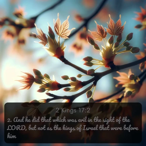 KJV 2 Kings  ; image nature: image with the bible verse :And he did that which was evil in the sight of the LORD, but not as the kings of Israel that were before him. ; Admire Bible verse images capturing the beauty of beaches, with turquoise waters, palm trees, and peaceful shores. These soothing scenes reflect God&#039;s serenity and majesty. Download and share verses like KJV 2 Kings 17:2. Current verse is overlayed with the thematic nature scene : Spring buds burst open on maple branches against a blue sky. ; 17:2