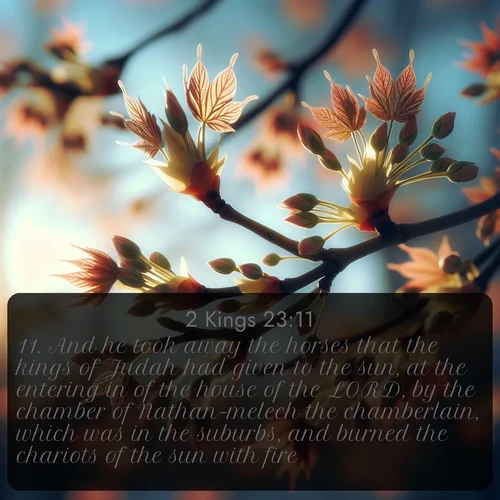 citation biblique : 11. And he took away the horses that the kings of Judah had given to the sun, at the entering in of the house of the LORD, by the chamber of Nathan-melech the chamberlain, which was in the suburbs, and burned the chariots of the sun with fire.
 sur fond image nature