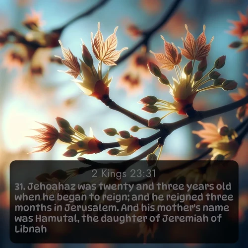 citation biblique : 31. Jehoahaz was twenty and three years old when he began to reign; and he reigned three months in Jerusalem. And his mother&#039;s name was Hamutal, the daughter of Jeremiah of Libnah.
 sur fond image nature